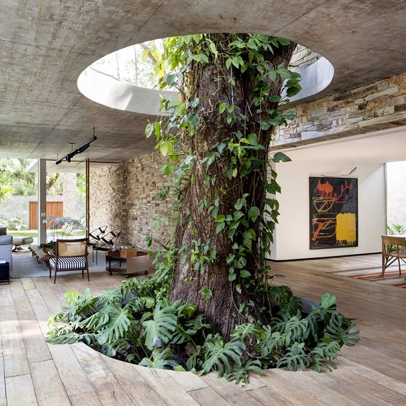 PULLCAST NEW PRODUCTS INSPIRED BY THE WONDERS OF NATURE
