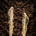 WELCOME SPRING WITH PULLCAST’S EARTH COLLECTION