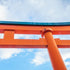 EMBRACING THE JAPANESE INFLUENCE WITH THE BARUKA DOOR PULLS