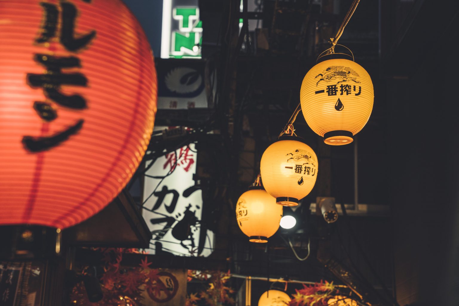 THE INFLUENCE OF JAPANESE AESTHETICS – INSPIRATIONS FROM THE LAND OF THE RISING SUN