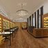 MOR ARCHITECTURE: A TALE OF ELEGANCE AND INNOVATION