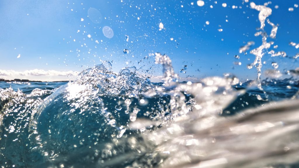 PULLCAST OCEAN COLLECTION: A MANIFESTO OF UNDERWATER ELEGANCE