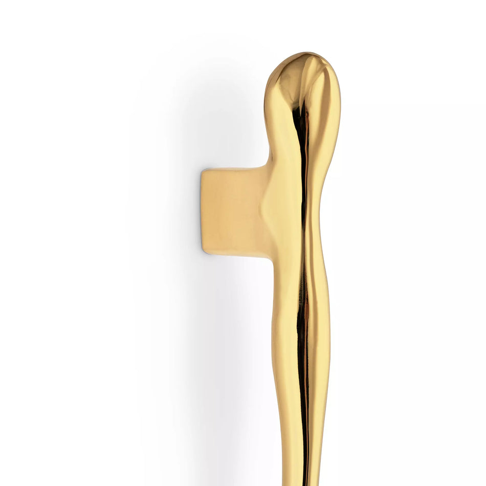 LUXURY GOLD NOUVEAU EA1089 DOOR PULL PULLCAST JEWELRY HARDWARE