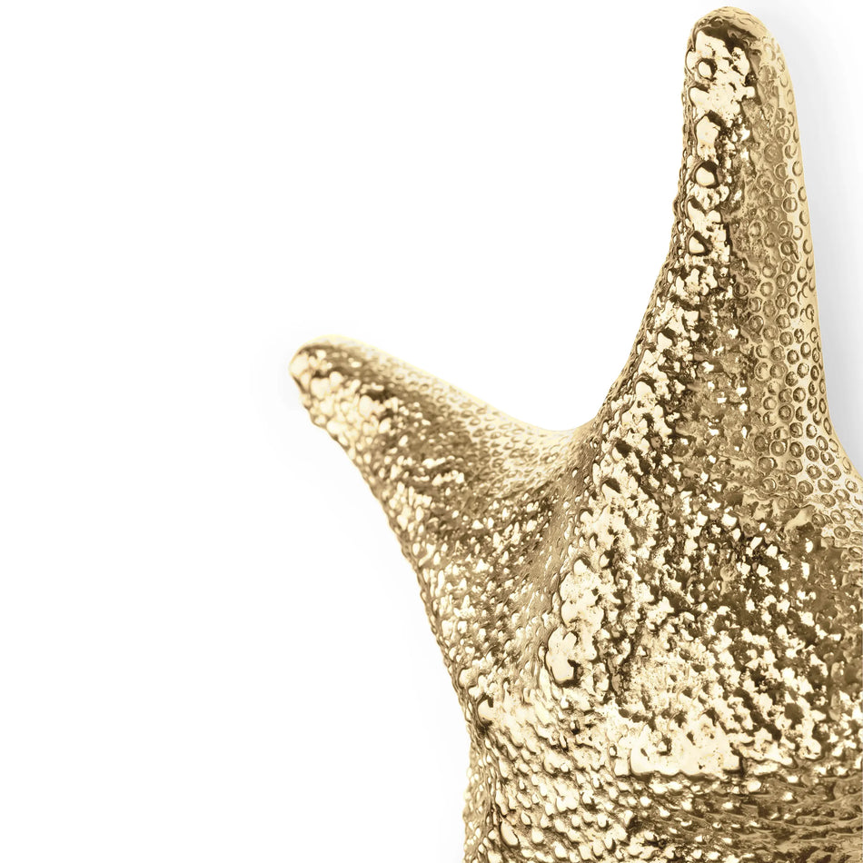 LUXURY GOLD STELLA OC2047 DOOR PULL PULLCAST JEWELRY HARDWARE