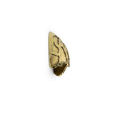 LUXURY GOLD DRAWER HANDLE TURTLE OC2021 BY PULLCAST JEWELRY HARDWARE