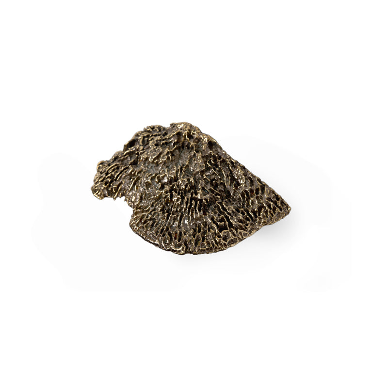 LUXURY DRAWER HANDLE FUNGI EA1031 BY PULLCAST JEWELRY HARDWARE