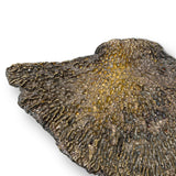 LUXURY DRAWER HANDLE FUNGI EA1032 BY PULLCAST JEWELRY HARDWARE