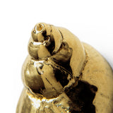 LUXURY GOLD CABINET HANDLE NATICA OC2022 BY PULLCAST JEWELRY HARDWARE