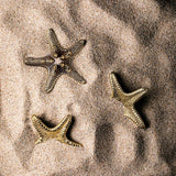 THREE LUXURY DRAWER PULL LINCKIA OC2013 BY PULLCAST JEWELRY HARDWARE