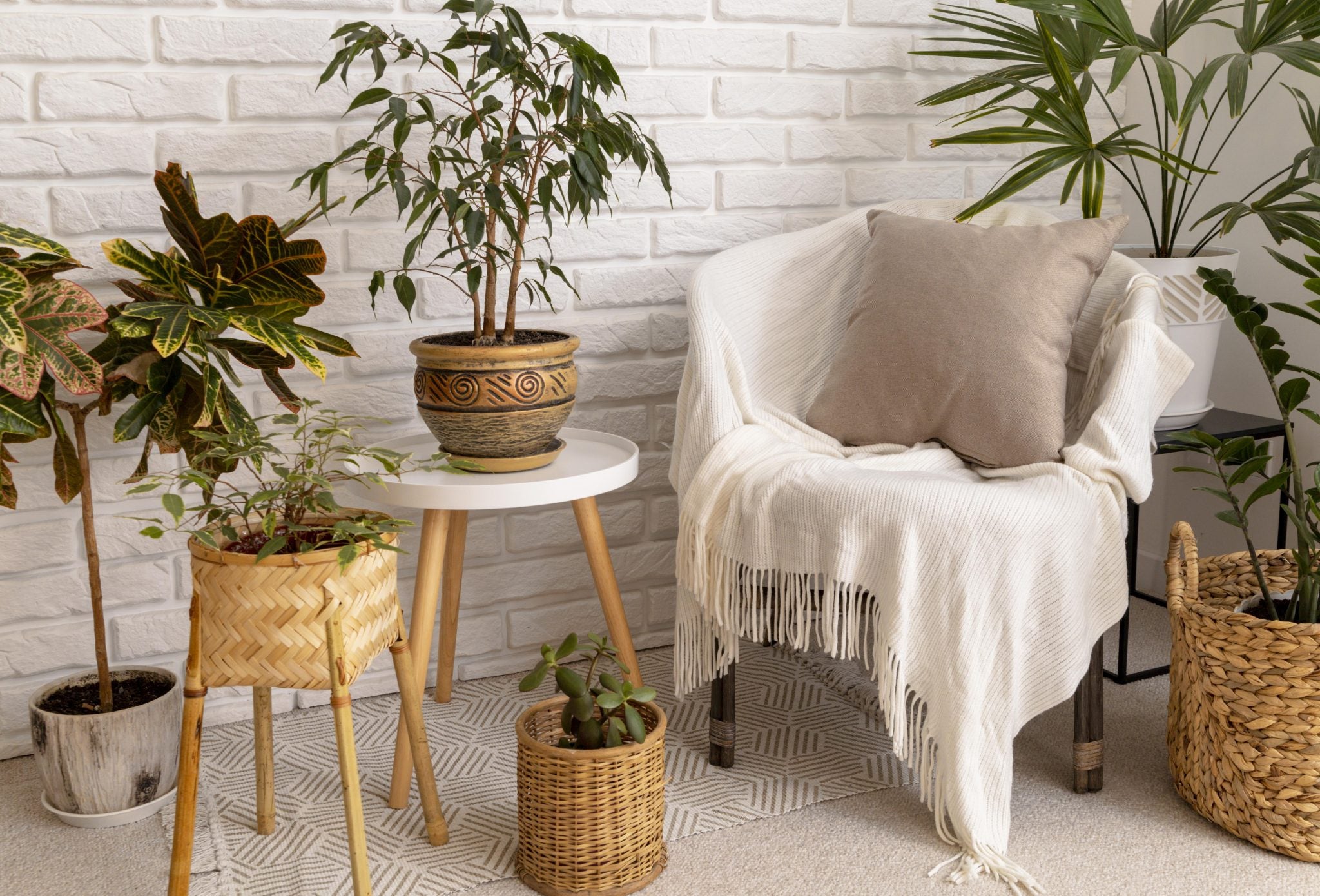 BRING NATURE INTO YOUR HOME – HOW TO EMBRACE WINTER GREENERY