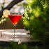 THE ICONIC COSMOPOLITAN COCKTAIL: SIPPING SOPHISTICATION