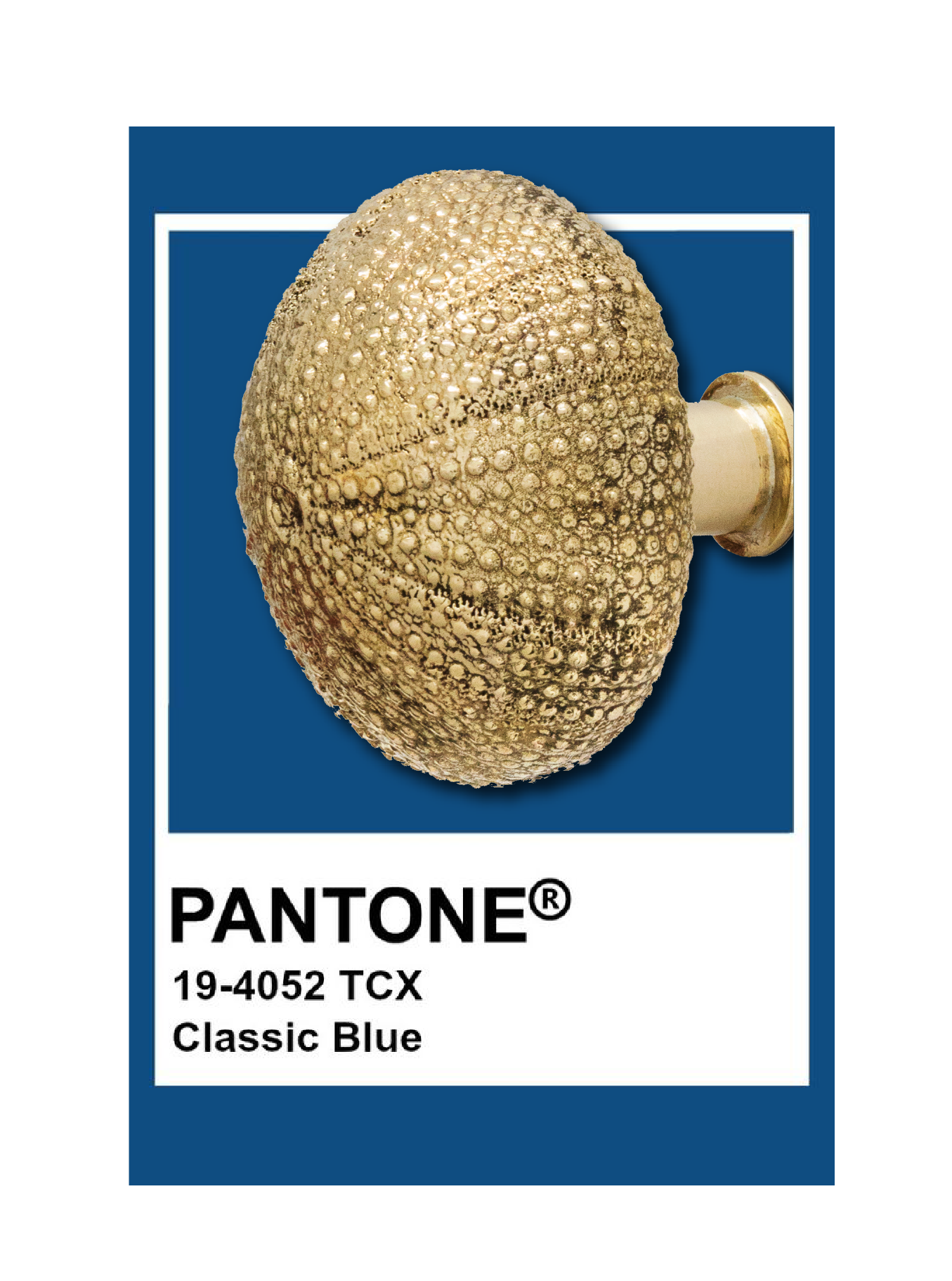 Pantone Color of The Year 2020: PullCast Edition