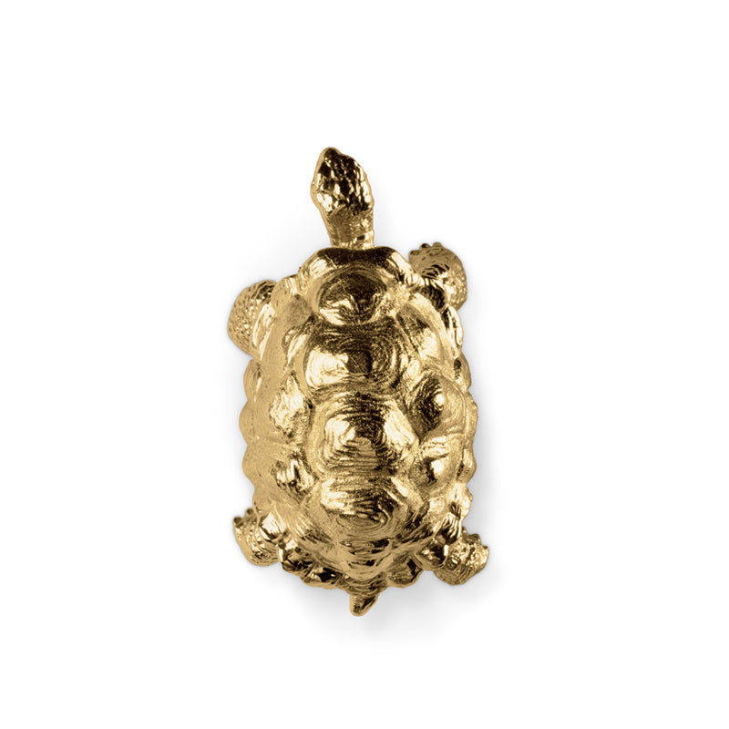 LUXURY GOLD DRAWER HANDLE TURTLE KD7022 BY PULLCAST JEWELRY HARDWARE